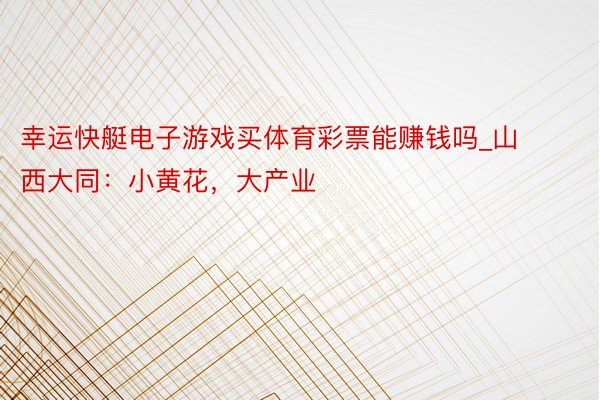 幸运快艇电子游戏买体育彩票能赚钱吗_山西大同:小黄花,大产业