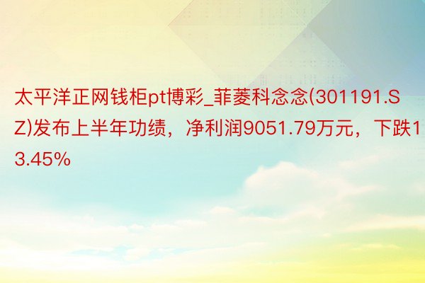 太平洋正网钱柜pt博彩_菲菱科念念(301191.SZ)发布上半年功绩，净利润9051.79万元，下跌13.45%