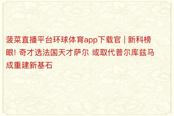 菠菜直播平台环球体育app下载官 | 新科榜眼! 奇才选法国天才萨尔 或取代普尔库兹马成重建新基石