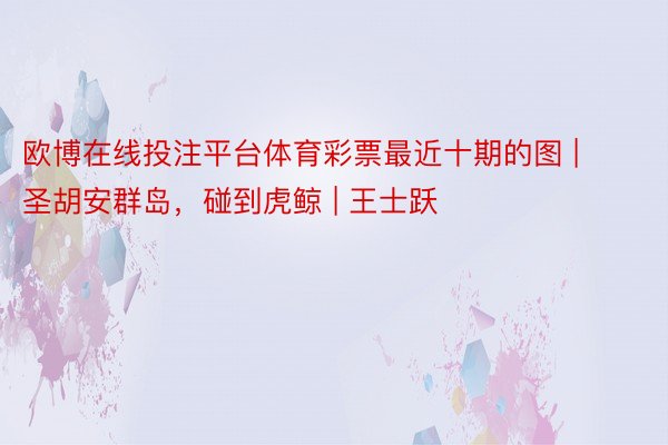 欧博在线投注平台体育彩票最近十期的图 | 圣胡安群岛，碰到虎鲸 | 王士跃